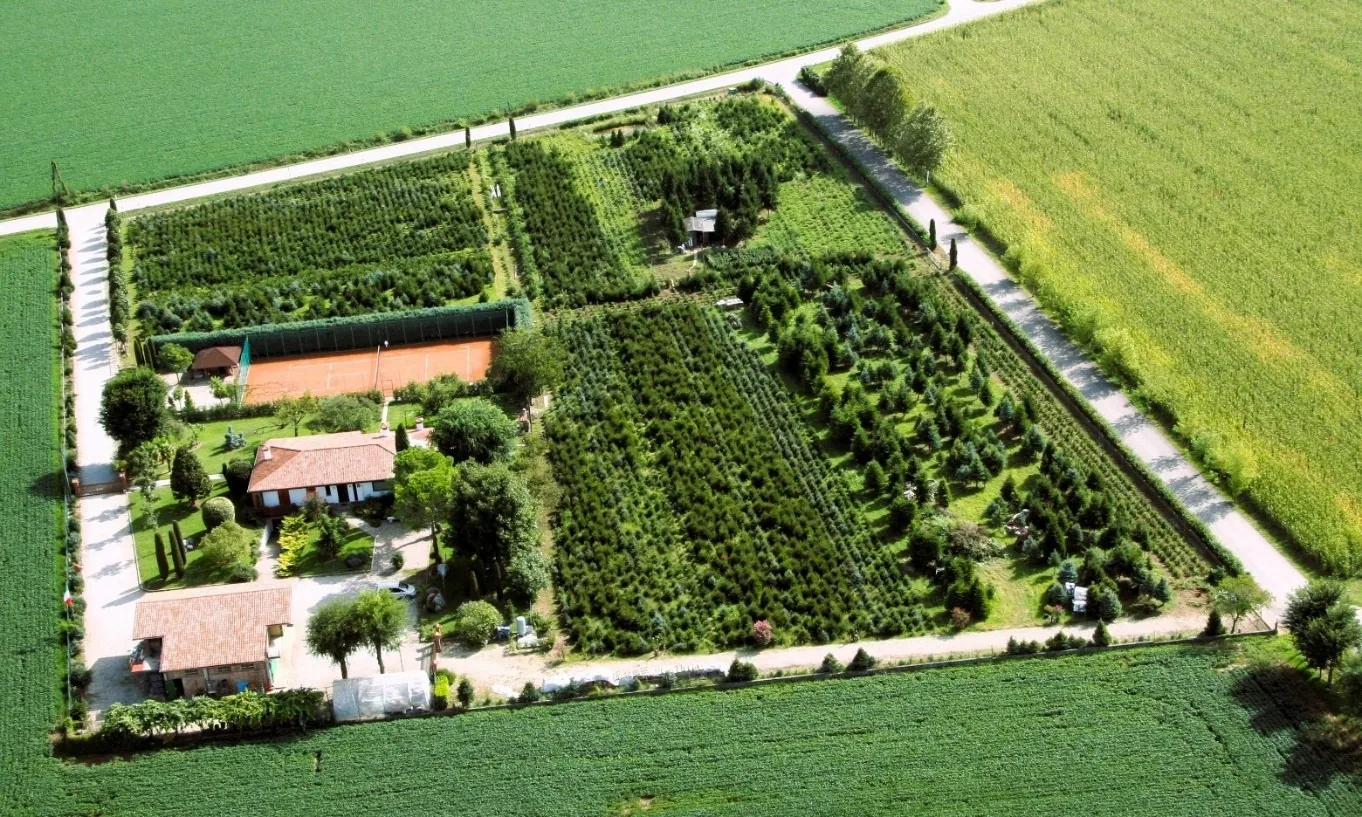 Tenuta Marangone vista aerea 2,7 ettari
